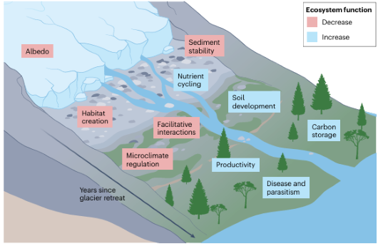 国际研究揭示冰川消融对生物多样性和生态系统功能的影响