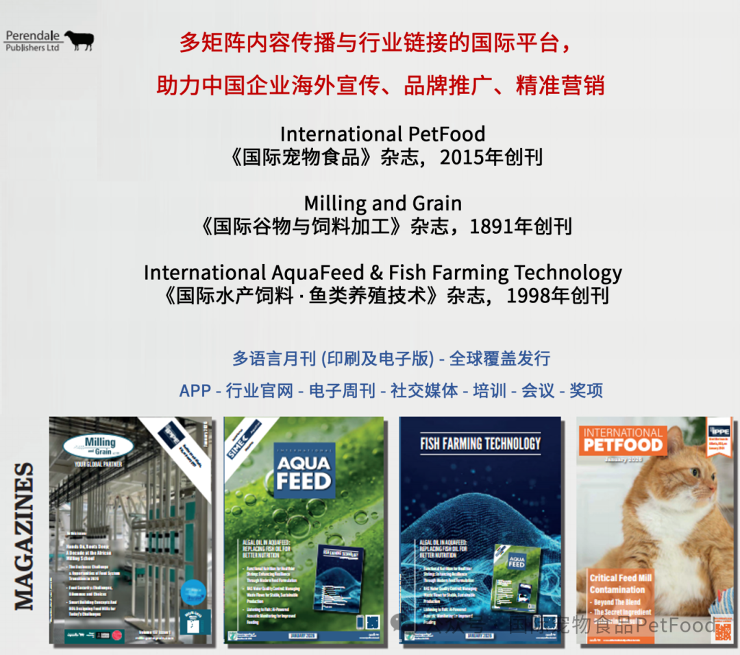 undefined 图片