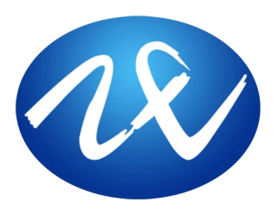 中投顾问logo 图片