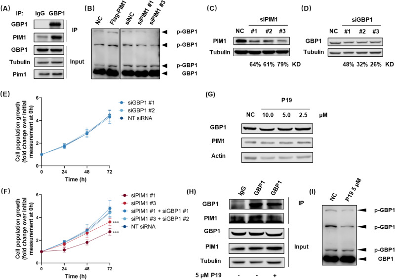 Fig. 13