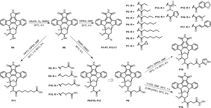 Scheme 1