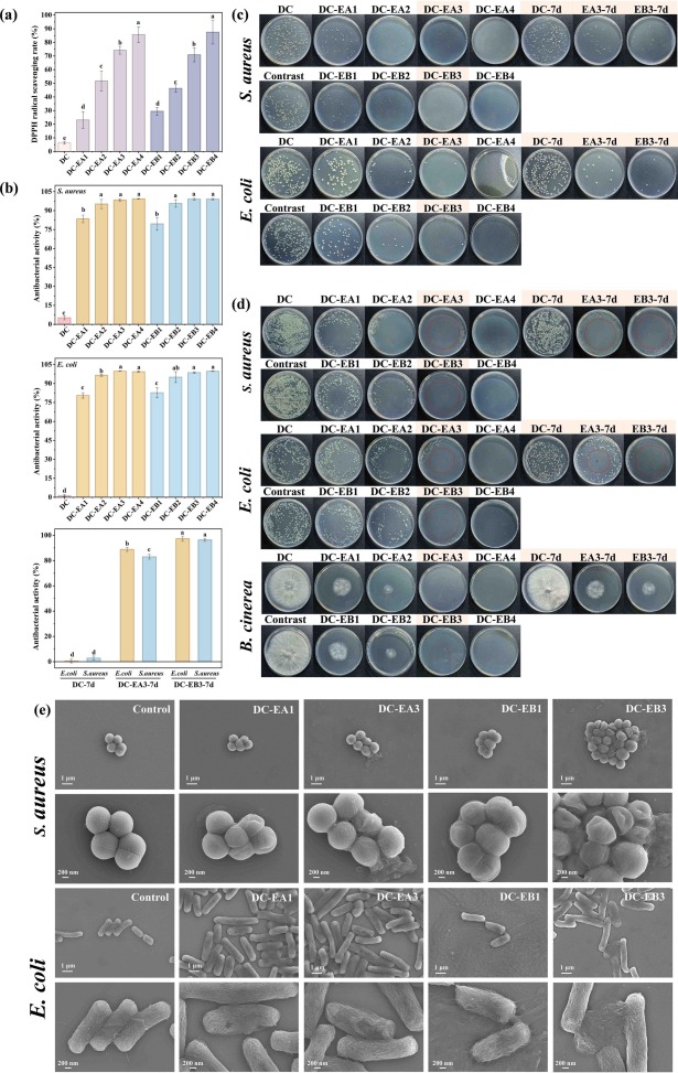 Fig. 10