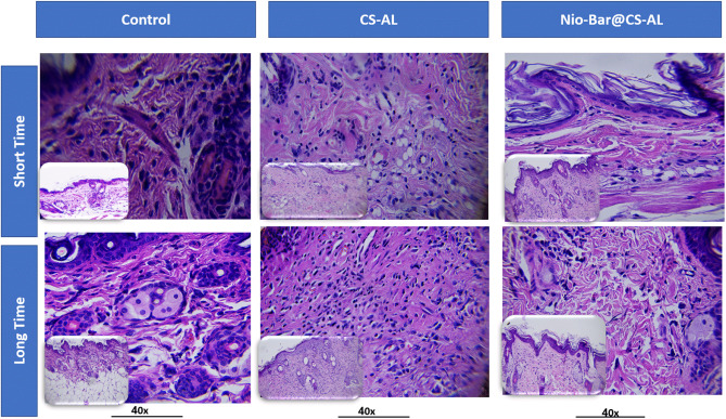 Unlabelled Image